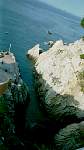 Cliff divers-6.jpg